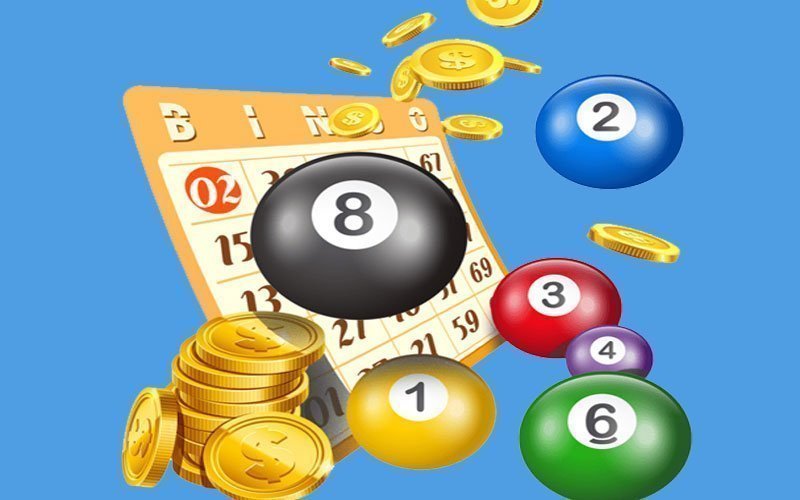 Học hỏi cách nuôi lô khung 7 ngày từ cao thủ